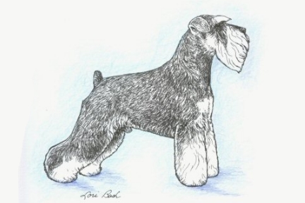 Alfie image