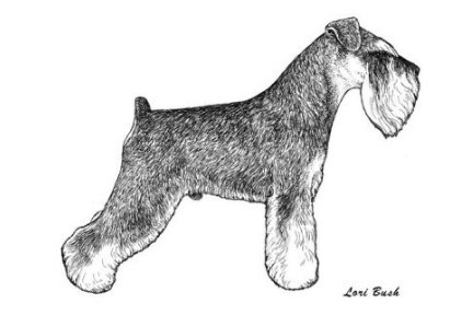Buster image