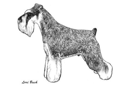 Moodie image