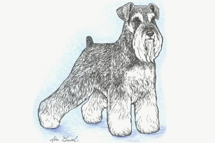 Sonny image