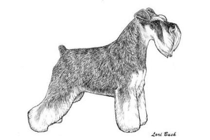 Trixie image